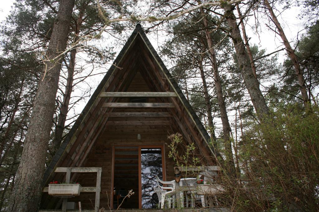 La Ptite Ferme De Caro Hotel Meyrignac-lʼÉglise Екстериор снимка